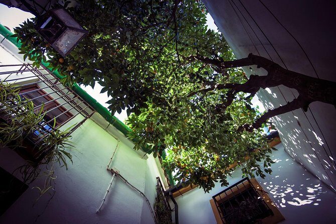 Córdoba Rooftop and Terraces Experience - Starting Point: Torre De Calahorra and Roman Bridge