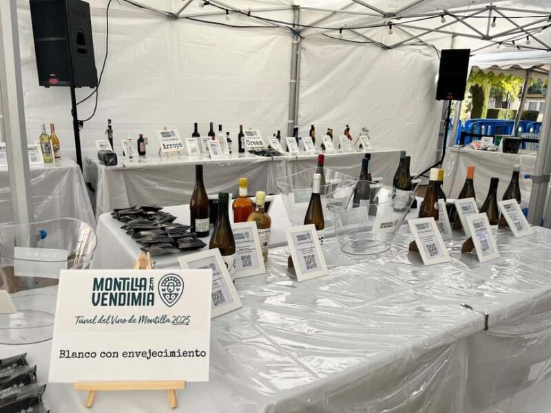 Córdoba: Self-Guided Wine Tasting Experience - Córdoba: Self-Guided Wine Tasting Experience