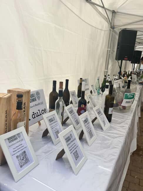 Córdoba: Self-Guided Wine Tasting Experience - The Selection of Wines