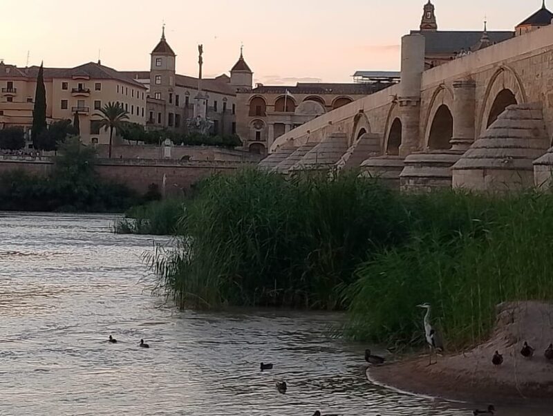 Córdoba: Tour of the three cultures to see the city in a day - An Overview of the Tour Experience