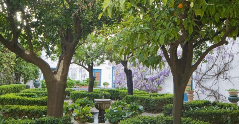 Córdoba: Viana Palace Gardens and Patios Entry Ticket - What You Can Expect from the Viana Palace Gardens and Patios Tour