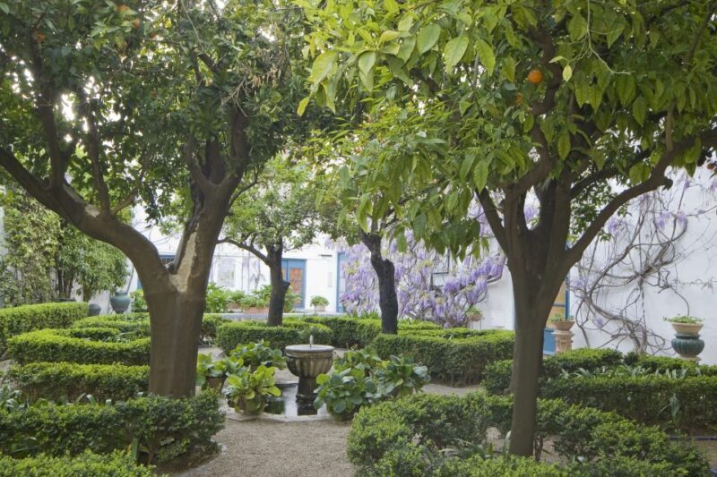 Córdoba: Viana Palace Gardens and Patios Entry Ticket - What’s the Value for Money?