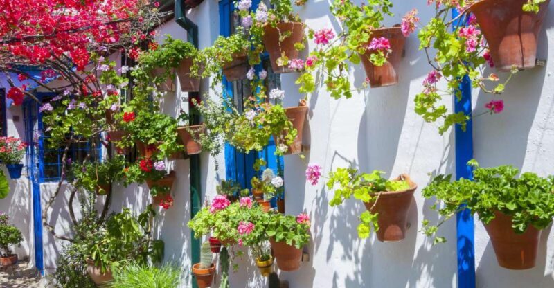 Cordoba's Authentic Patios: 2-Hour Tour with Tickets - Key Points