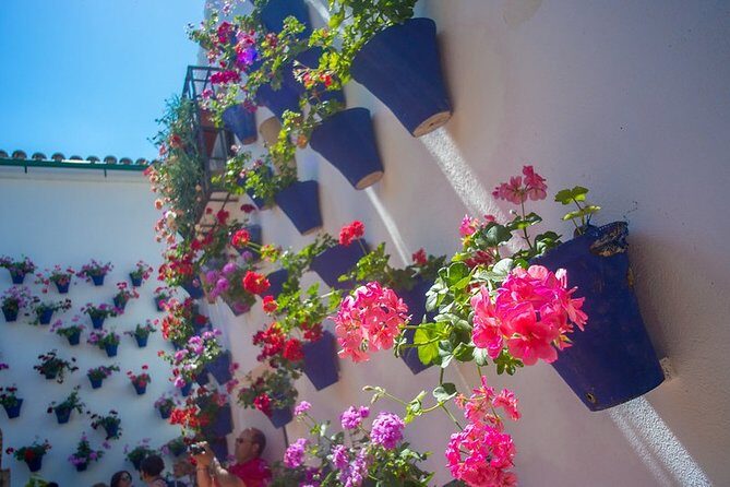Cordoba's Authentic Patios: 2-Hour Tour with Tickets - Who Should Consider This Tour?