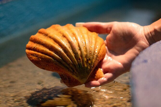 Corfu Aquarium Ticket with Tour Included - The Sum Up