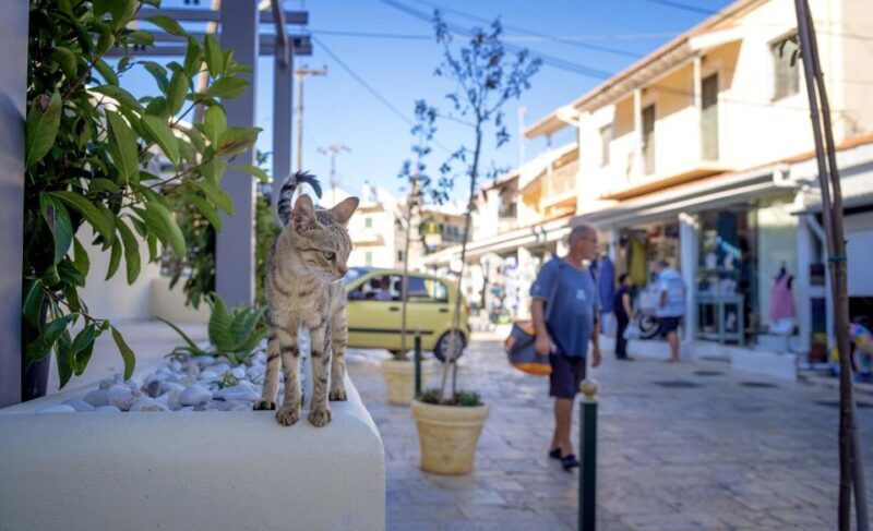 Corfu: Bus Trip & Swim at Canal d'Amour, Kassiopi, & Barbati - FAQ