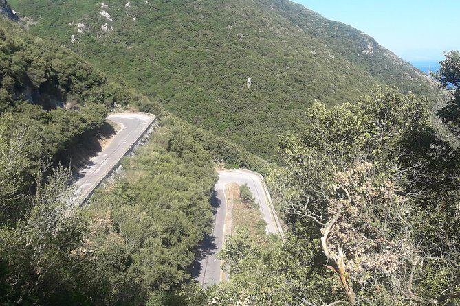 Corfu by bike: Countryside, Forests and Villages - What Travelers Love Most