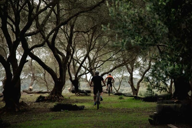 Corfu: E-Bike Tour with Olive Oil Tasting - Key Points