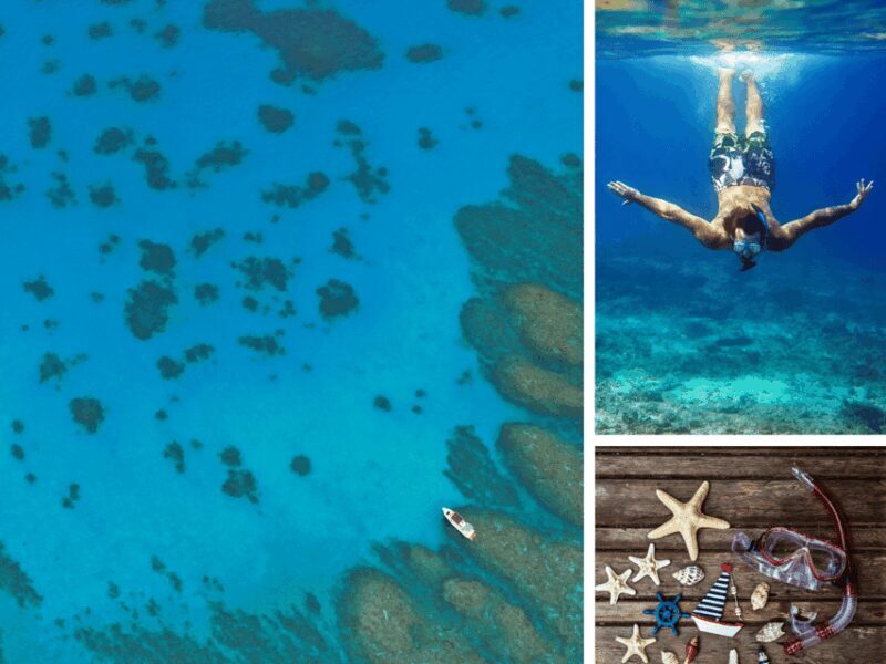 Corfu: Paxos Island Full-Day Cruise with Blue Caves - Key Points