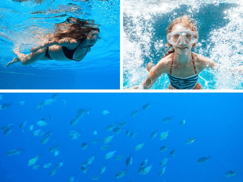 Corfu: Paxos Island Full-Day Cruise with Blue Caves - The Experience Itself