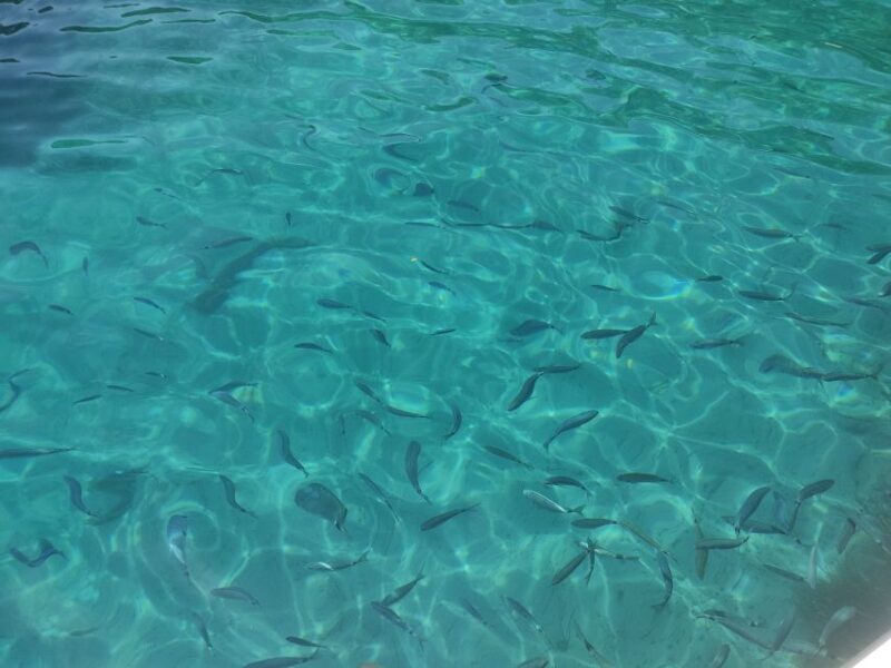 Corfu: Private Boat Tour - What Travelers Say