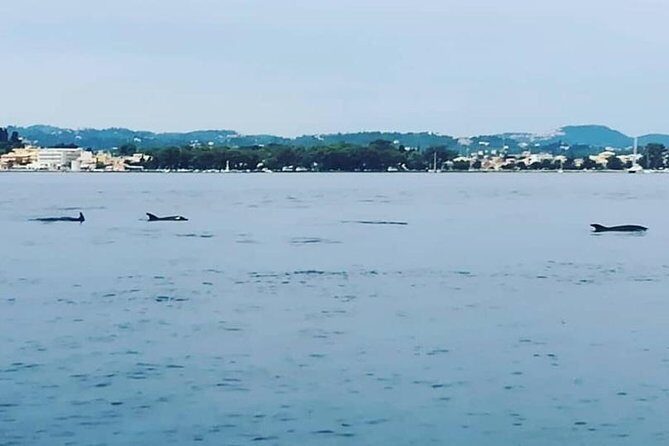 Corfu Private Yacht Cruise - Potential Drawbacks and Considerations