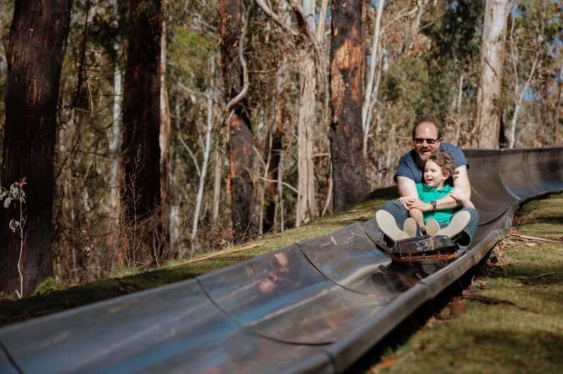 Corin Forest: Alpine Slide Ticket - Exploring the Corin Forest Alpine Slide: A Practical Review