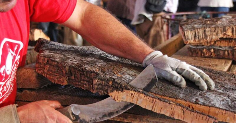 Cork Factory Tour - Cork Factory Tour in Algarve: An Honest Look