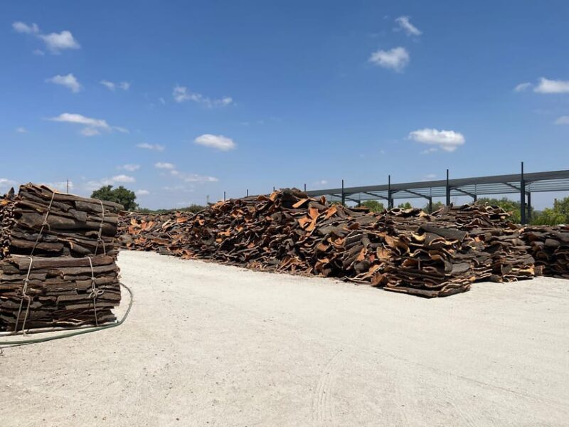 Cork Factory, Wine Tasting & Évora Visit - Practical Details to Keep in Mind