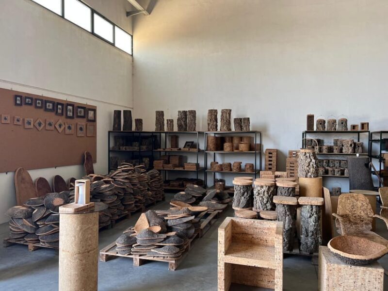 Cork Factory, Wine Tasting & Évora Visit - What the Tour Might Not Cover