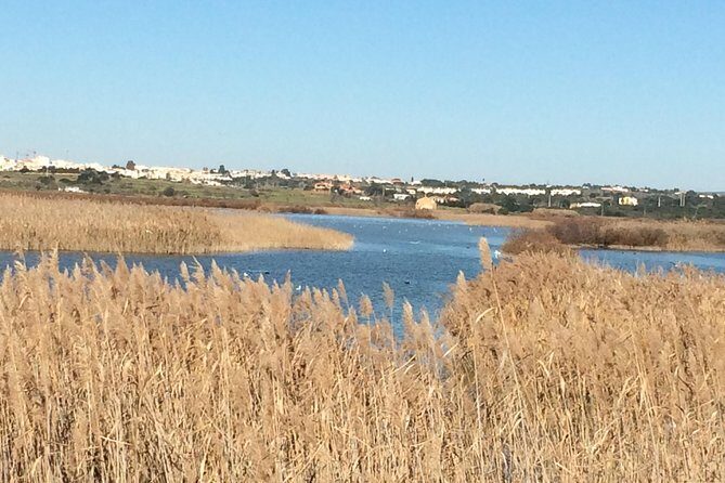 Cork Secrets - An In-Depth Look at Cork Secrets