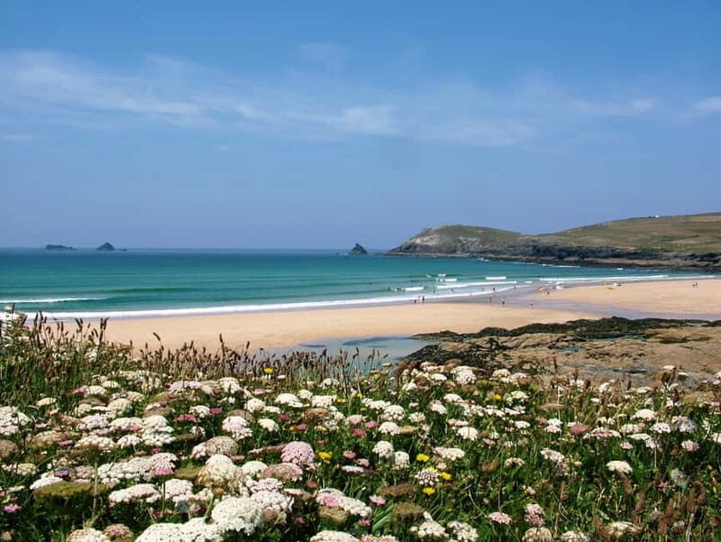 Cornwall: Beautiful and Wild, North Cornwall Guided Tour - Who Would Love This Tour?