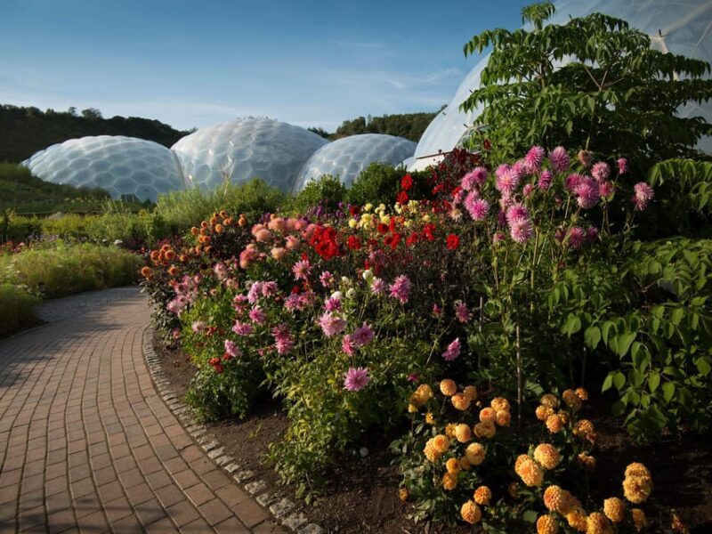 Cornwall: Eden Project Entry Ticket - Key Points