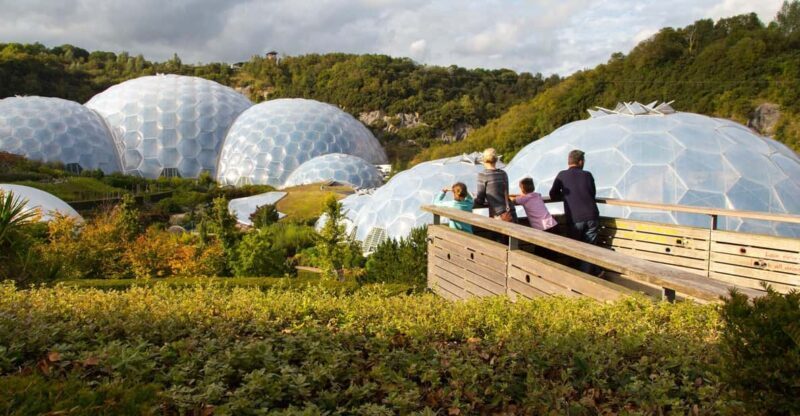 Cornwall: Eden Project Entry Ticket - What to Expect When Visiting the Eden Project