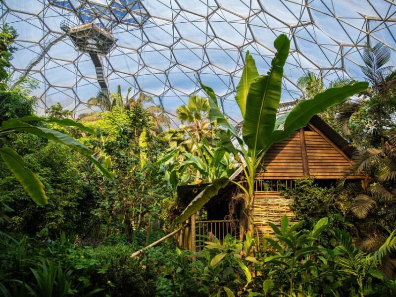 Cornwall: Eden Project Entry Ticket - What the Reviews Say