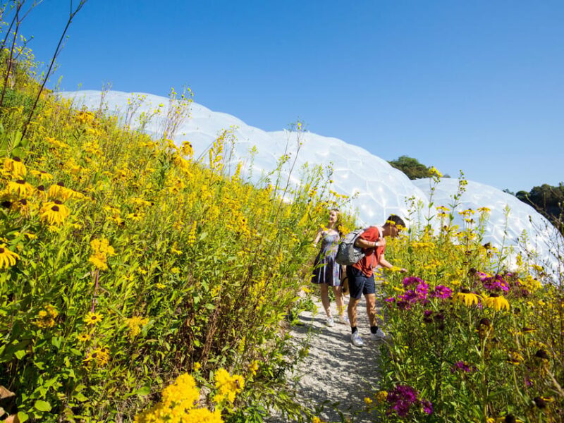 Cornwall: Eden Project Entry Ticket - Who Should Visit the Eden Project?