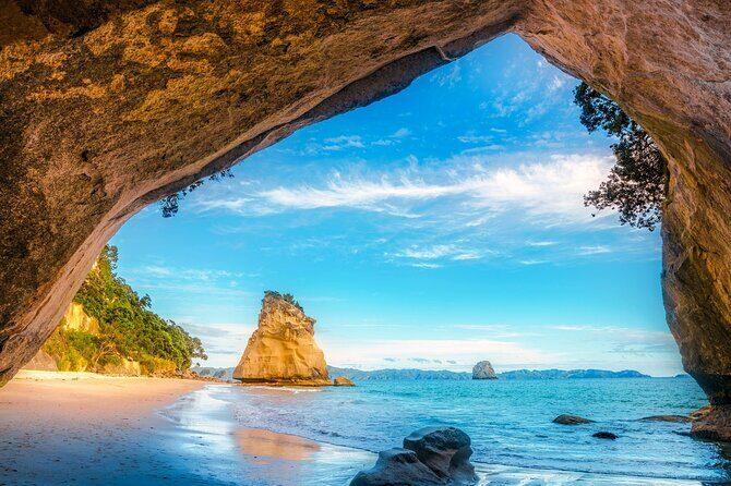 Coromandel Cathedral Cove and Hot Water Beach - A Deep Dive Into the Tour Experience