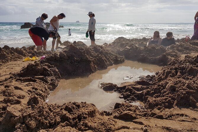 Coromandel Cathedral Cove and Hot Water Beach - Who Is This Tour Best For?