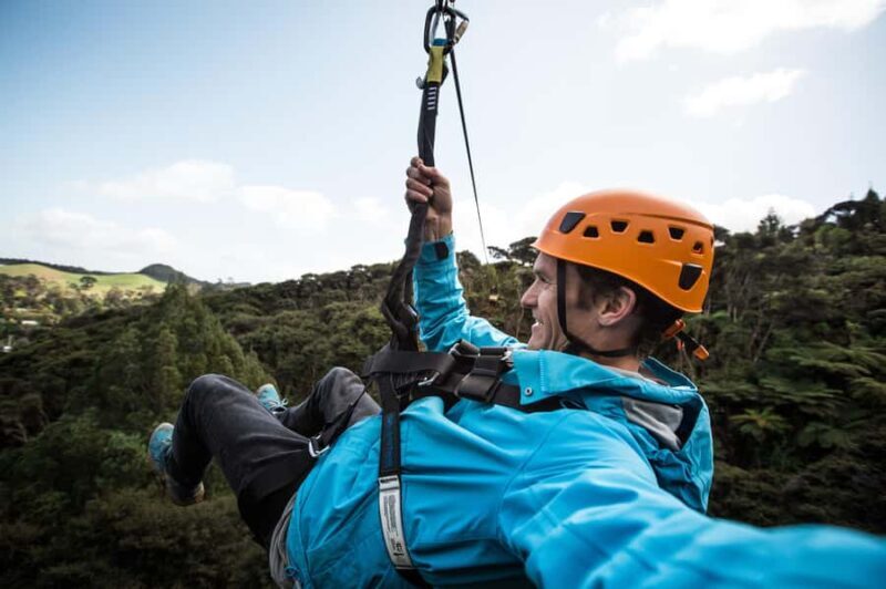 Coromandel: Guided Zipline Tour Experience - What to Expect from the Coromandel Zipline Tour