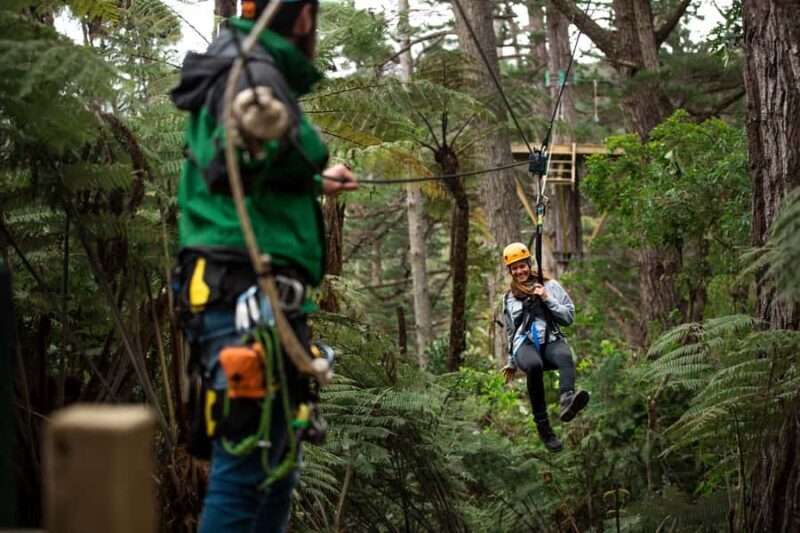 Coromandel: Guided Zipline Tour Experience - The Experience Duration & Group Size