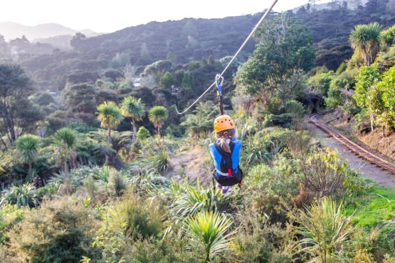 Coromandel: Guided Zipline Tour Experience - The Guides & Overall Safety