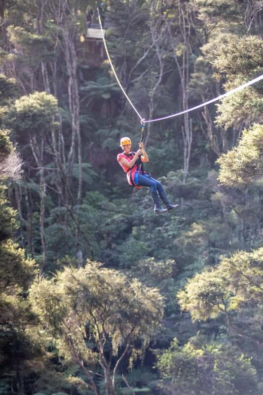 Coromandel: Guided Zipline Tour Experience - Why You Should Consider This Experience