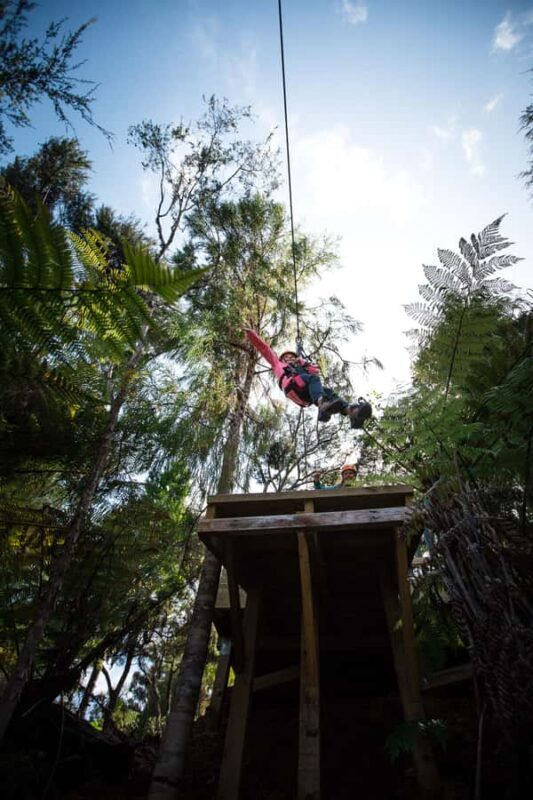 Coromandel: Guided Zipline Tour Experience - Final Thoughts