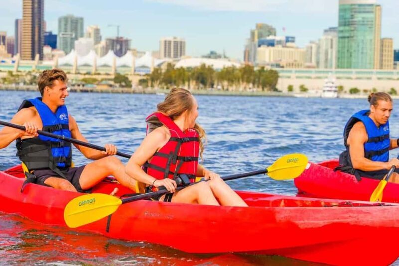 Coronado Guided Kayak Tour 90-Min - Key Points