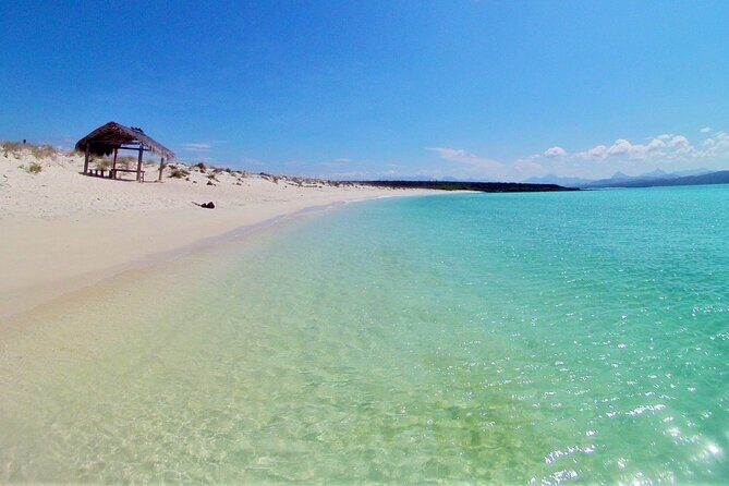 Coronado Island and Snorkel Tour - An In-Depth Look at the Coronado Island and Snorkel Tour