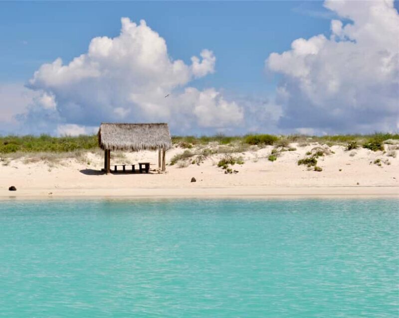 Coronado Island and Snorkel Tour - An In-Depth Look at the Coronado Island and Snorkel Tour