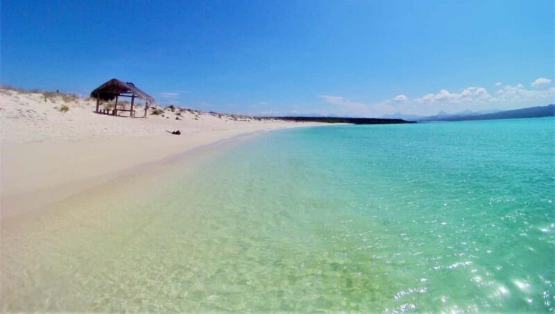 Coronado Island and Snorkel Tour - Cost and Value