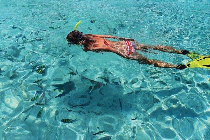 Coronado Island Tour from Loreto - An In-Depth Look at What to Expect