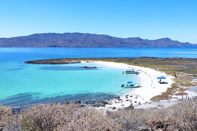 Coronado Island Visit and Sea Lions Swimming - Relaxing on the Beach