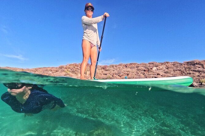 Coronado Island Visit and Sea Lions Swimming - Overall Value and Experience