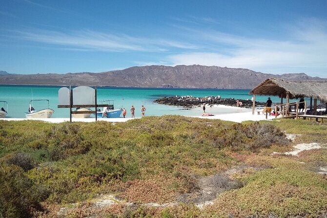 Coronados Island Tour in Loreto Bay - Introduction: What’s This Coronados Island Tour About?