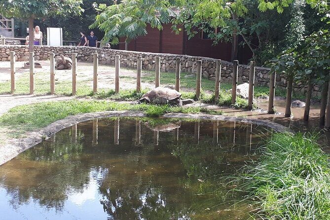 Corsica A Cupulatta Turtle Park Skip the Line Admission Ticket - A Deep Dive into the Tour Experience