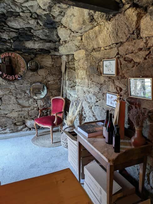 Corsica: Organic wine tasting - Key Points