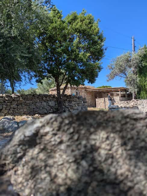 Corsica: Organic wine tasting - The Tasting Experience Itself