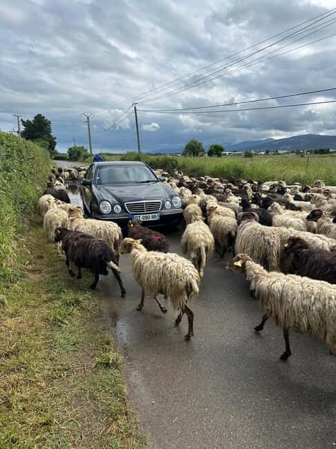 Corsica: Private day trip with guide in an air-conditioned Mercedes - The Itinerary — Or Lack Thereof? How This Tour Works