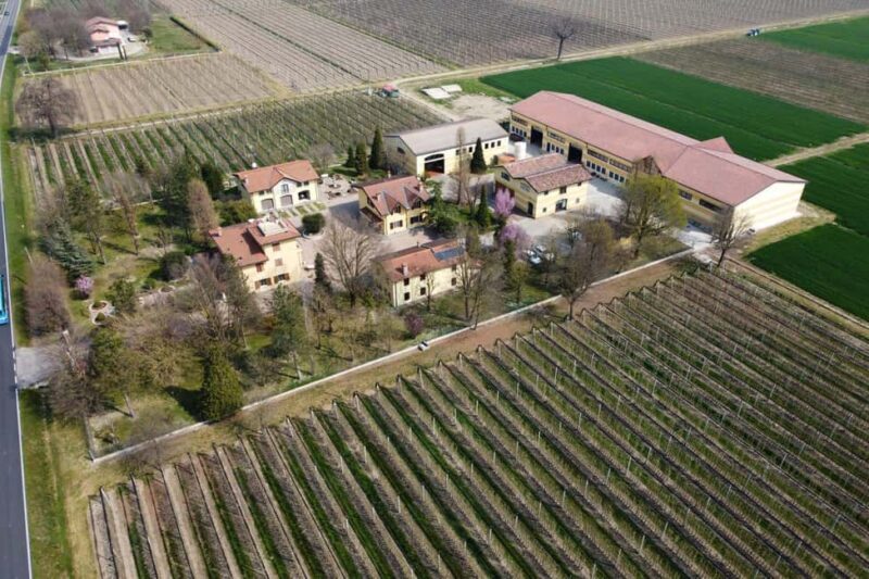 Corte Ansaloni Vinegar Cellar: Guided Tour and Tasting - What to Expect from the Tour