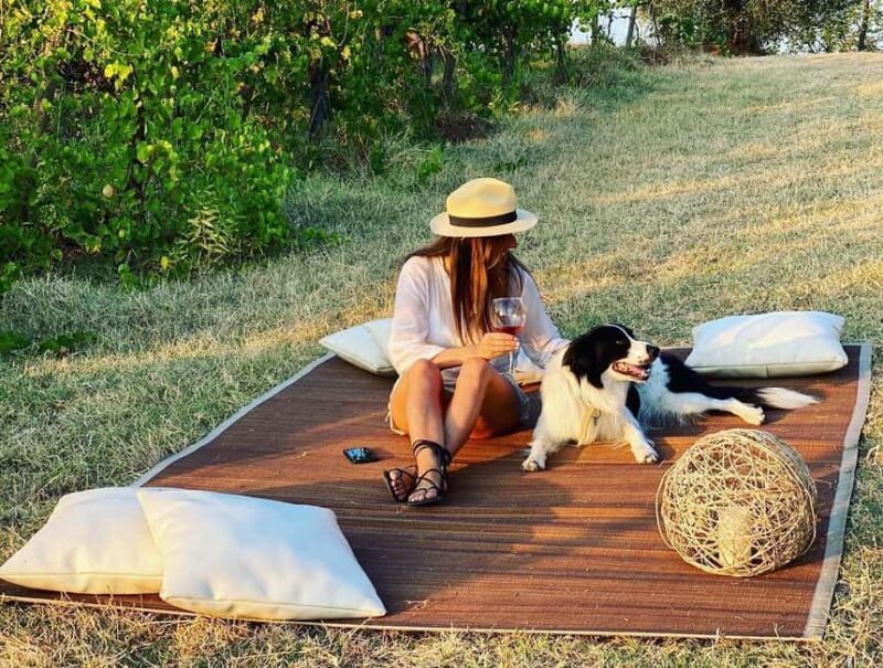 Cortona: Organic wines tasting at Colle Acacia's vineyards - A Detailed Look at the Experience