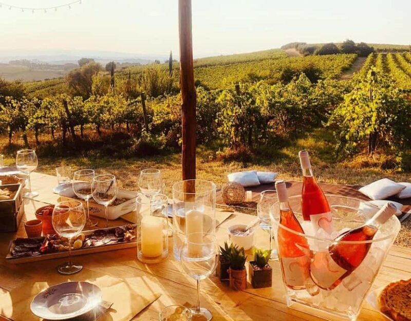 Cortona: Organic wines tasting at Colle Acacia's vineyards - Who Should Consider This Tour?