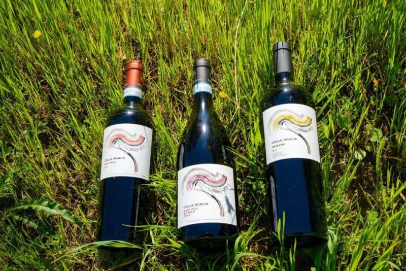 Cortona: Organic wines tasting at Colle Acacia's vineyards - Final Thoughts