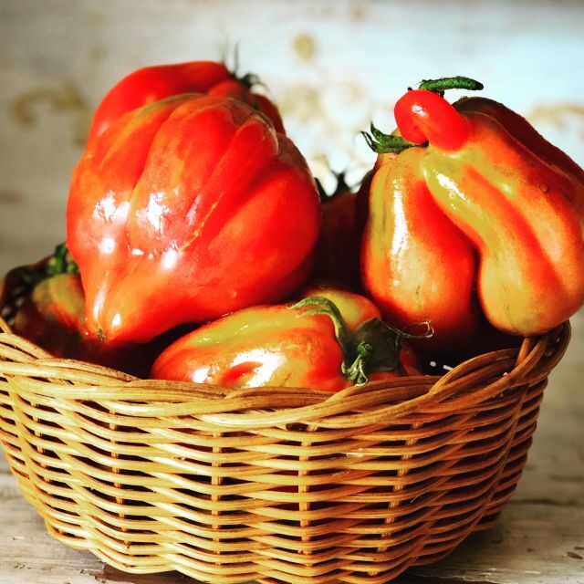 Cortona: Pasta and Pizza Cooking Class - What You Can Expect from This Experience